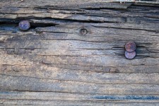 Rusted Nails In Plank