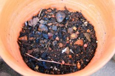 Soil In Pot