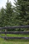 Spruce Tree Wooden Farm Fence