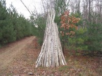 Woodpile # 2