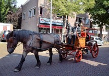Traditional Carriages