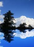 Trees And Cumulus Cloud Reflection