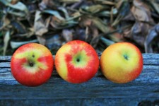 Upside Down Apples
