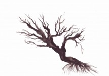 Watercolor Spooky Tree Illustration