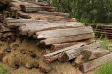 Wood Pile Logs