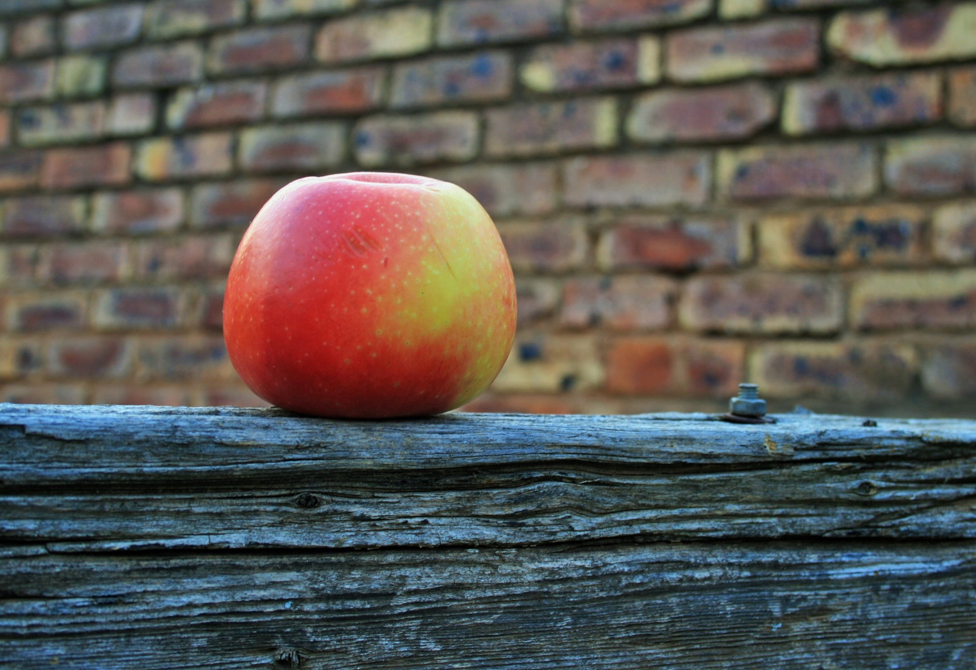 苹果与砖墙背景免费图片 Public Domain Pictures
