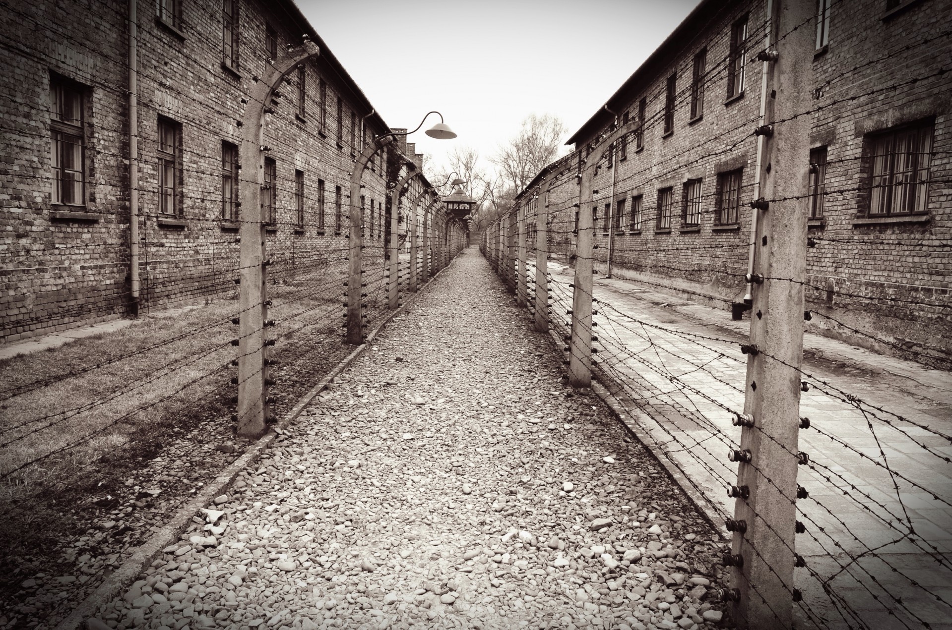 Auschwitz/birkenau concentration camp.