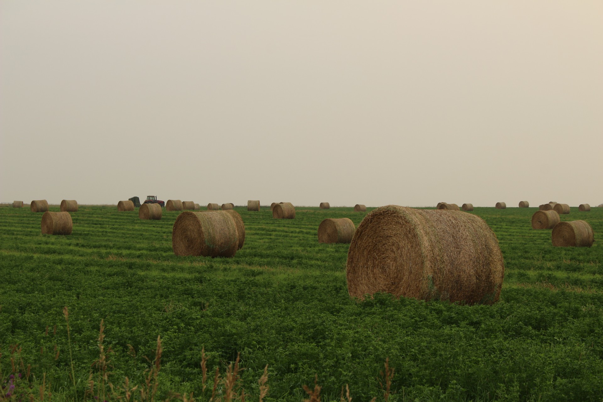 Farm Round Hay Bales