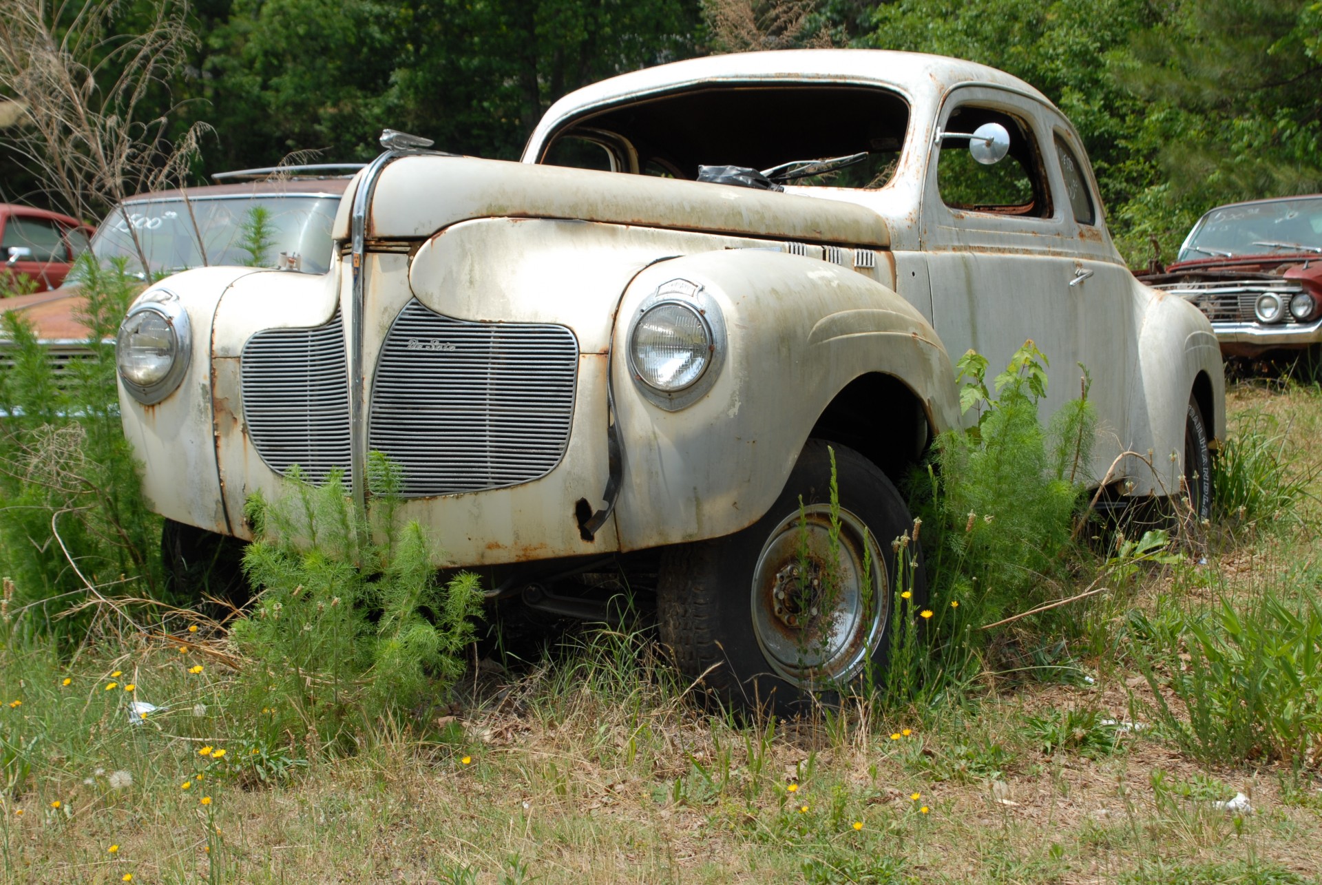 Junked cars for sale at rural Georgia, USA