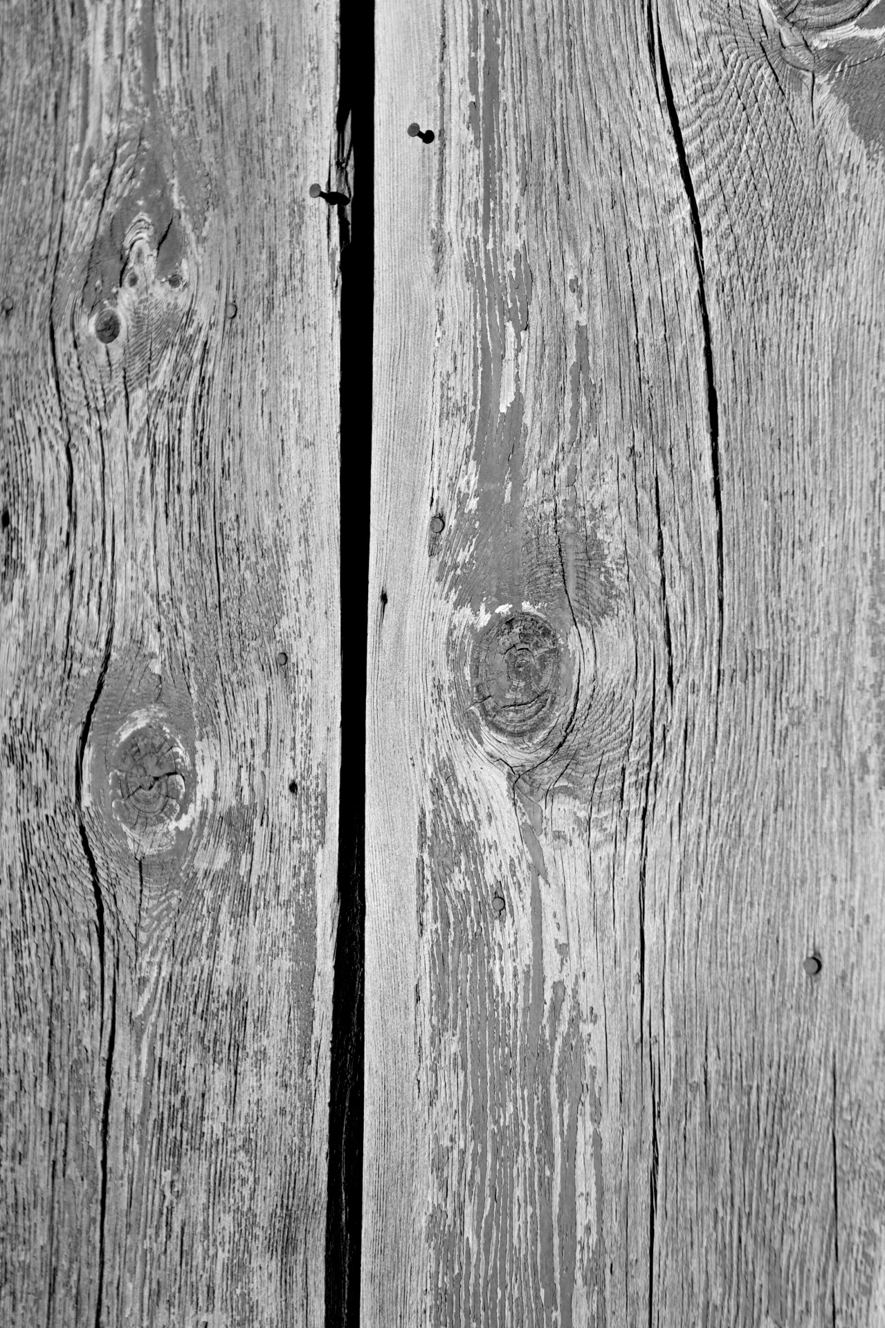 Aging wood grain detailed in black and white.