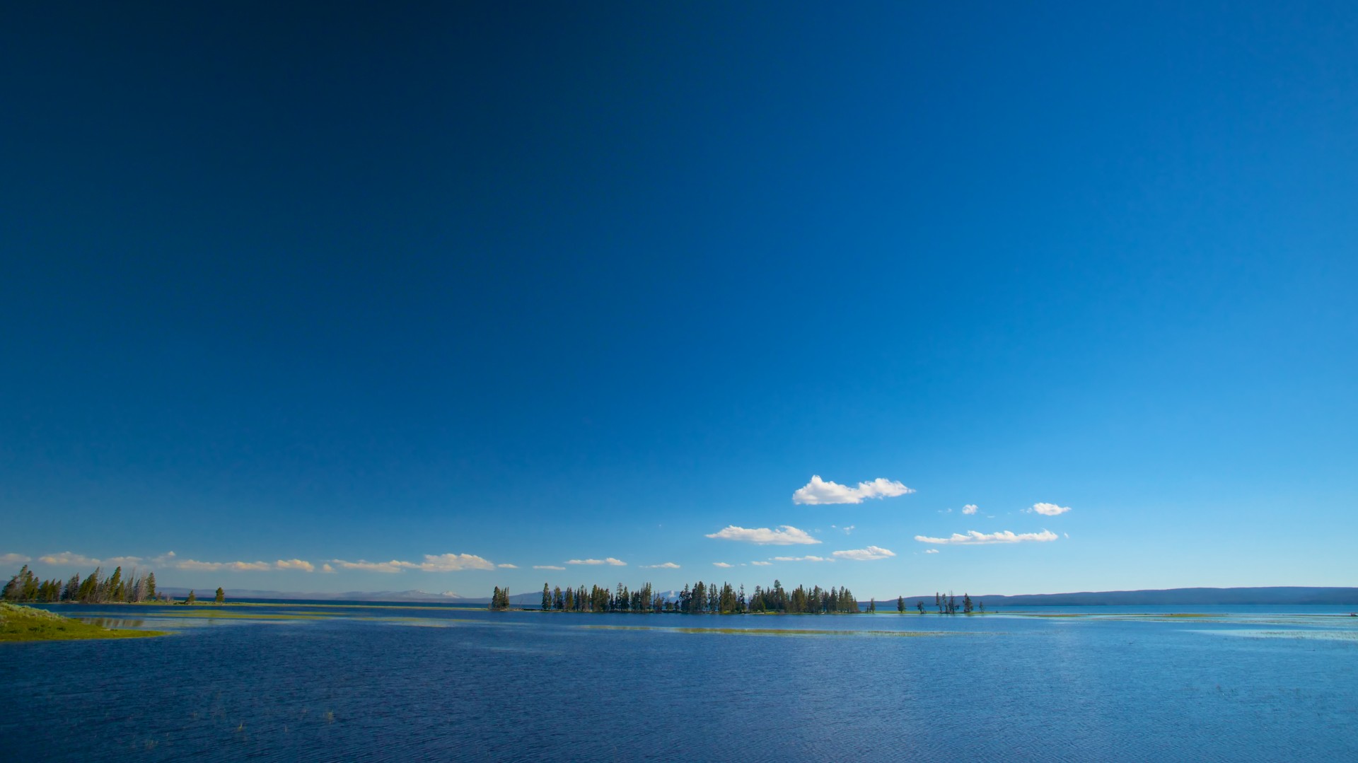 Narrow island covered in pine trees sits in a blue lake in Yellowstone National Park.