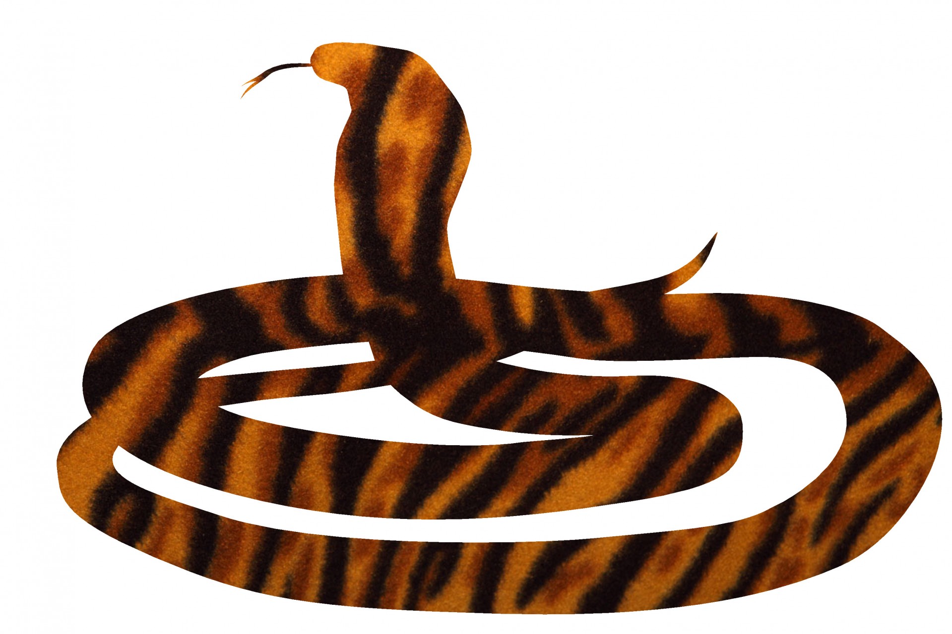 Snake Animal Stripes Cut Out