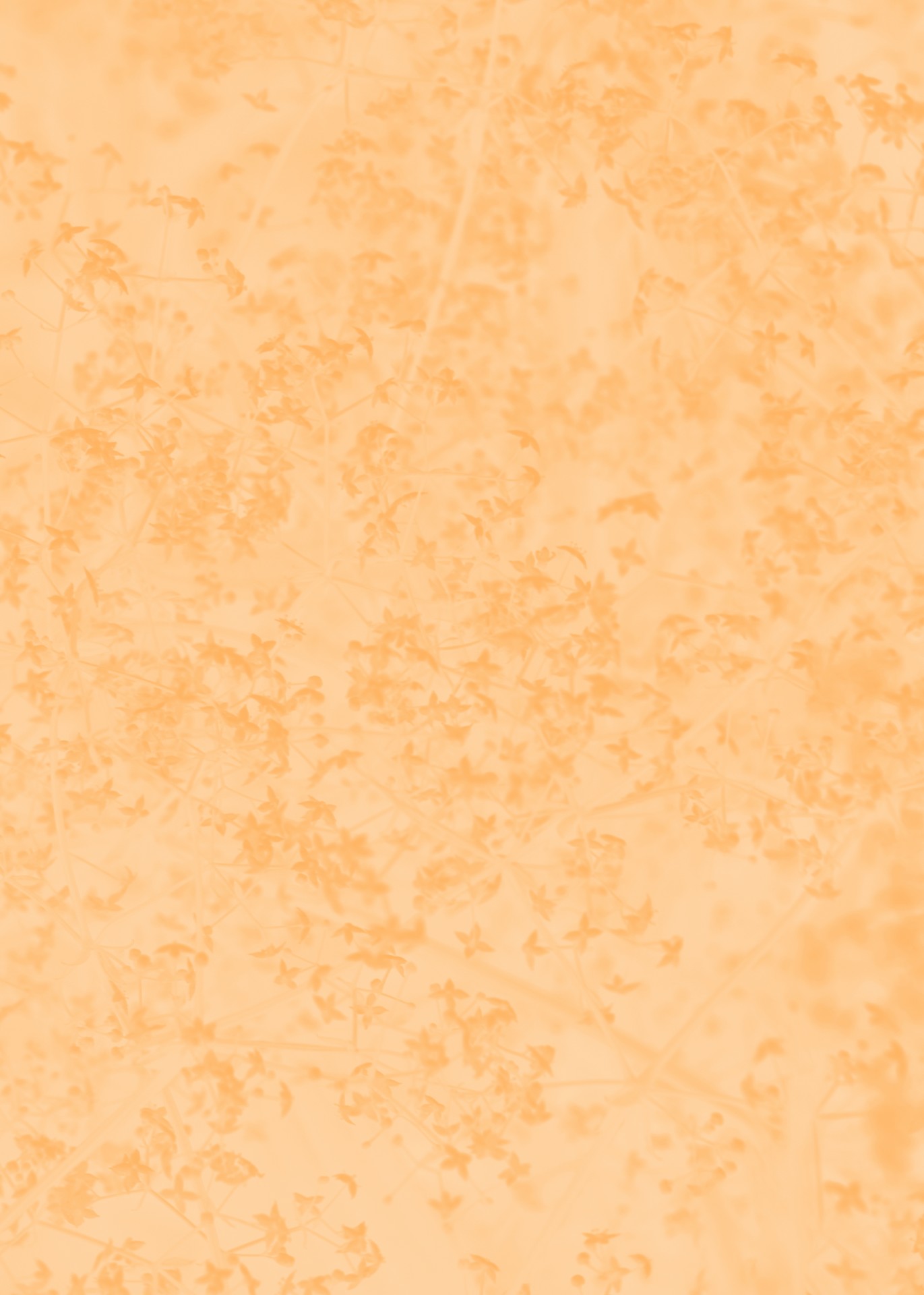 soft floral background orange - Your premium download is greatly appreciated – enjoy!
