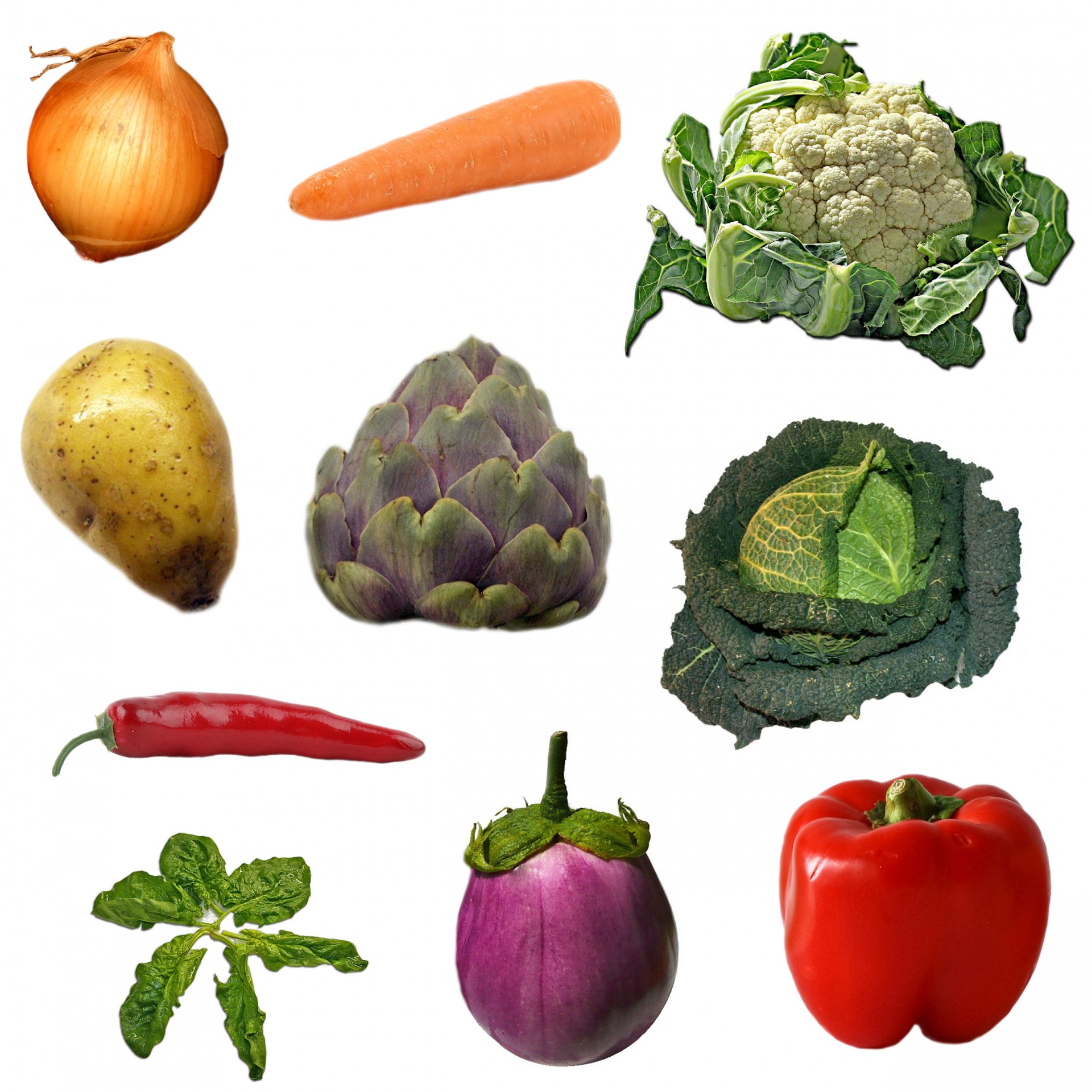 Vegetables On White Background