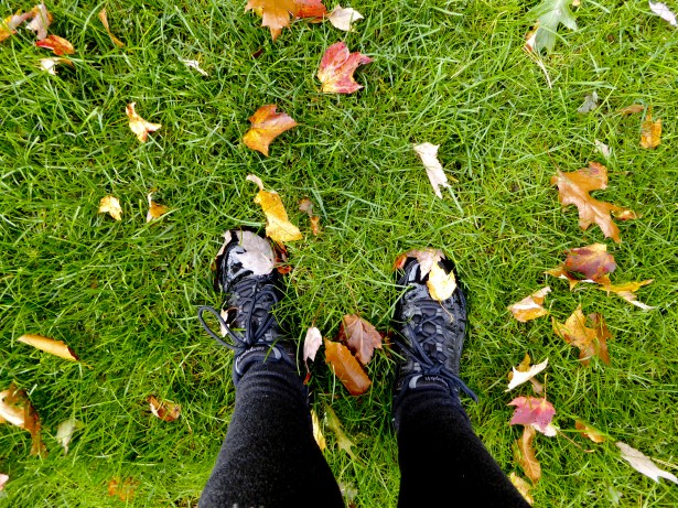Fall Frunze pe pantofii mei Poza gratuite - Public Domain Pictures