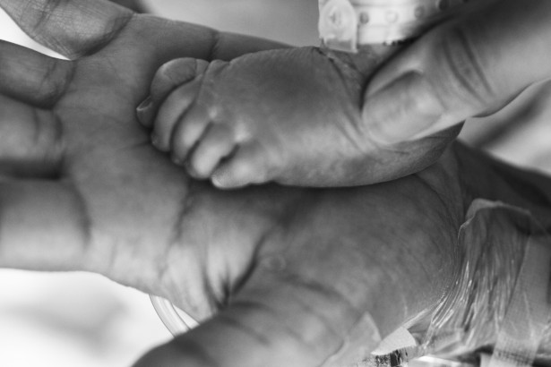 Mama și nou-născuți picioare bebelusi Poza gratuite - Public Domain Pictures