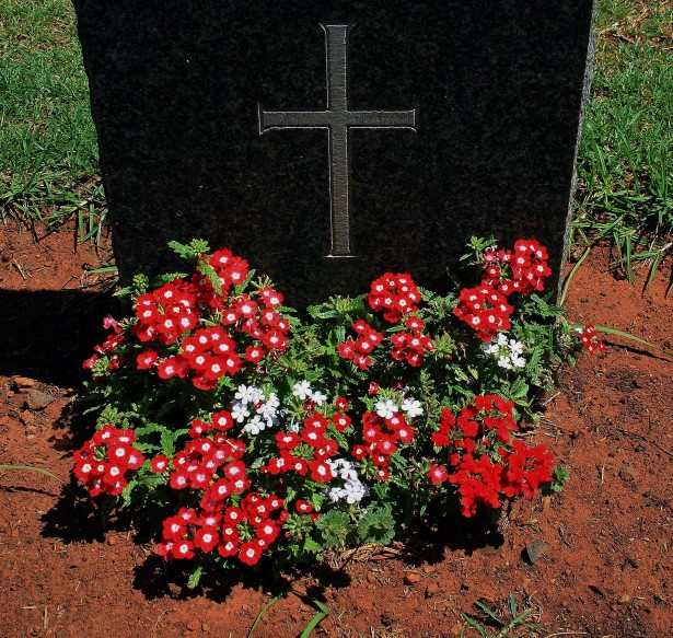 Mormânt soldat cu flori Poza gratuite - Public Domain Pictures