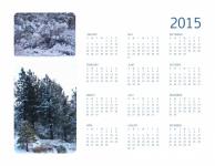 2015 Annual Calendar Winter