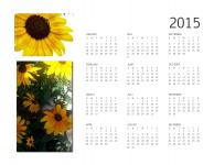 2015 Annual Sunflower Calendar
