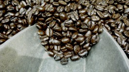 A Scoop Of Coffee Beans