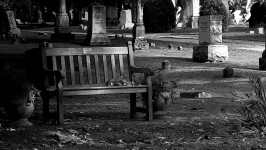 A Seat In The Cemetery