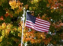 American Flag Foliage Background