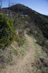 Angeles National Forest Trail
