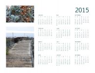 Annual 2015 Calendar