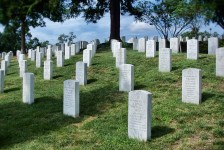 Arlington Graves