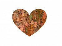 Autumn Heart Background