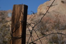 Barbed Fence Post