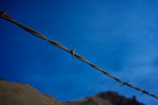 Barbed Wire Close Up