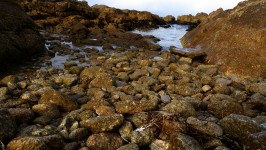Beach Rocks Texture Background