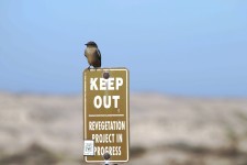 Bird Guarding Keep Out Sign