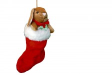 Bunny In Christmas Stocking