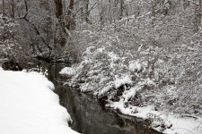 Creek In Winter