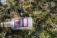 Empty Alcohol Bottle On Grass