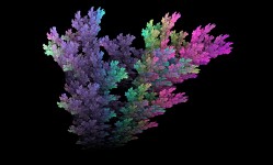 Fluoro Coral