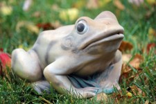 Frog Garden Ornament