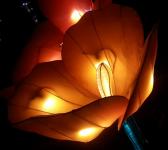 Glowing Tulip Japanese Lantern