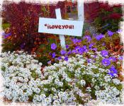 I Love You Sign In Garden