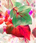 Ivy Leaves In Pastel Invert