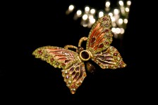 Jeweled Butterfly