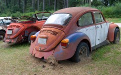 Junked Volkswagen Cars