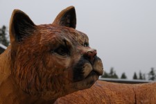 Lioness Face Wooden Sculpture