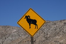 Mountain Goat Warning Sign