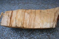 Raw Side Of Split Wood