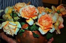 Roses In Copper Pot