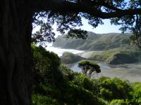 Scenic West Coast NZ