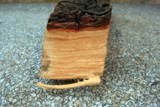 Side And Bark Pf Chopped Wood